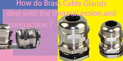  Brass Cable Glands